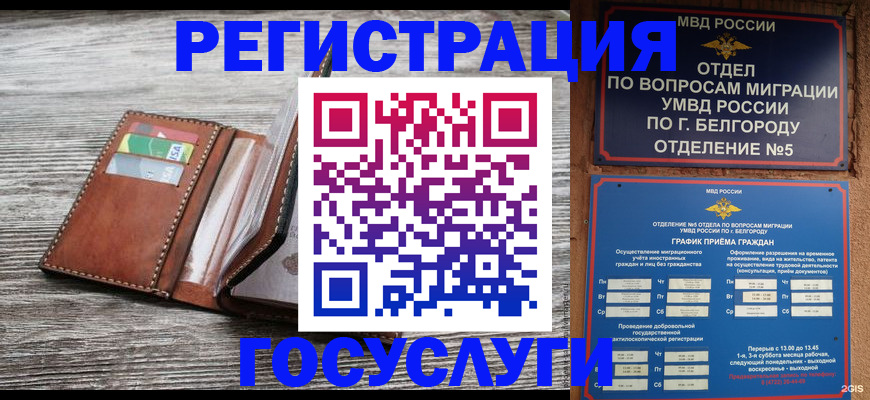 временная регистрация гарантия в Сланцах